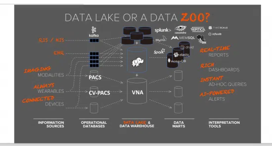 Data lake or data zoo infographic