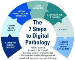 Circular diagram of seven steps to digital pathology
