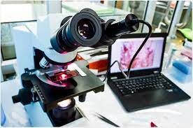 Digital microscope connected to laptop displaying sample
