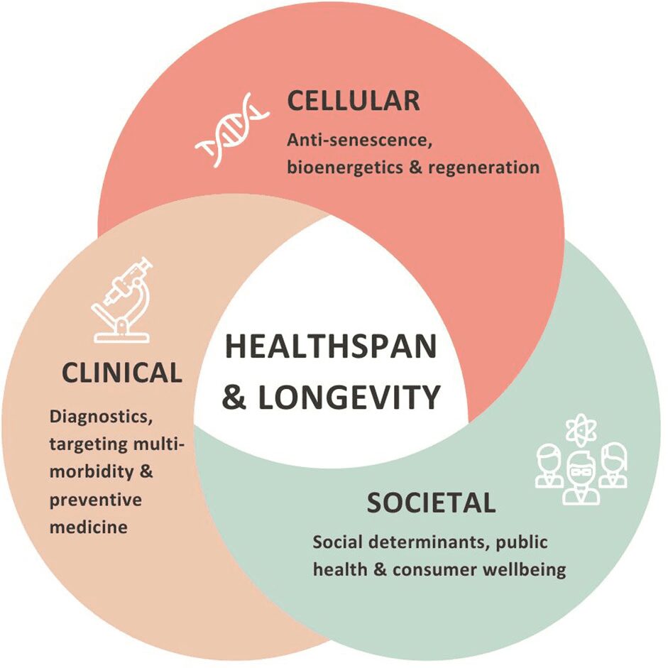 Venn diagram of healthspan and longevity domains